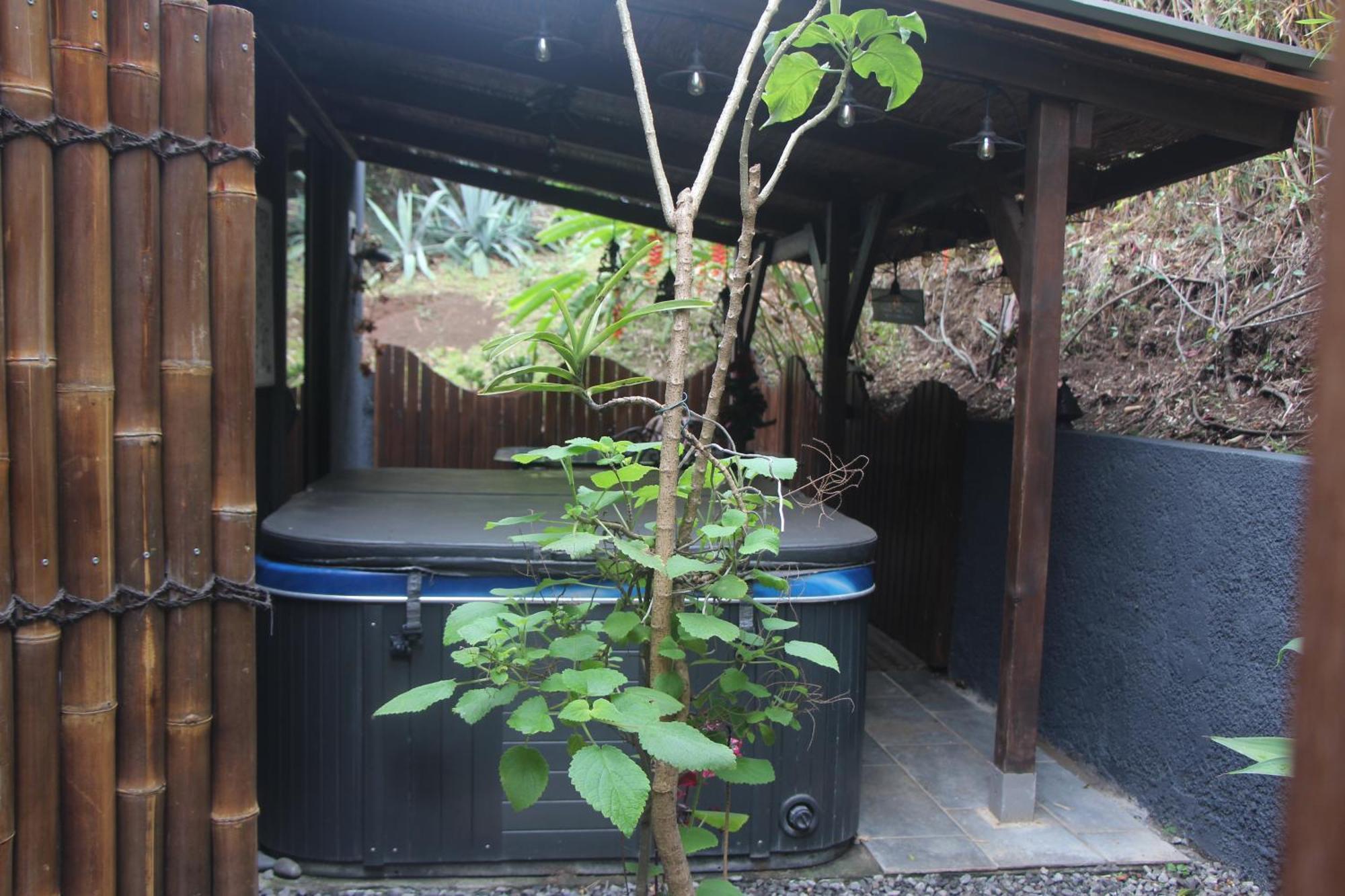 La Liane De Jade 974-Lodge Le Palissandre - Jacuzzi Privatif - Piscine Chauffee Le Bois de Nefles  Екстер'єр фото